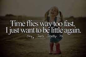 I'm fair sure flies is the plural of the fly insect haha. Time Flies So Fast Google Search Fly Quotes Time Flies Quotes Funny Attitude Quotes
