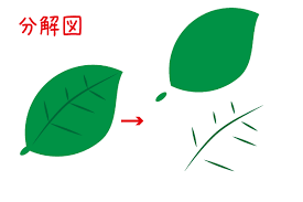 葉っぱの描き方 がりぼん時間