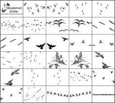 Pin By Jennifer Dorner On Fonts Buttons Bird Footprint Photoshop Brushes Photoshop
