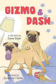 Gizmo & Dash: Bayer, Steve, Franko, Sviatoslav: 9781777691752: Amazon.com:  Books