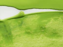 It's an essential color in watercolor painting, especially if you're painting realistic things like landscapes. What Colors Make Olive Green What Two Colors Make Olive Green