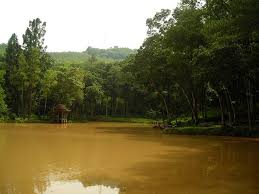 Karena kesulitan ekonomi, dan karena kakakku sudah telanjur masuk universitas swasta yang sudah dan dalam kondisi ini aku terpaksa mengalah tidak mendapatkan biaya untuk melanjutkan sekolah tapi peduli amat, yang penting uang masuk kantong, pikirku. Info Wisata Jawa Barat Danau Dan Mata Air Wisata Jawa