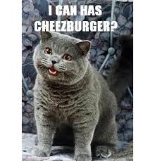 An internet meme, more commonly known simply as a meme (/miːm/ meem), is a type of idea, behaviour, or style (meme) that is spread via the internet. The Power Of Internet Memes And A Lot Of Fun Along The Way