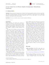 Image result for Calostephane divaricata