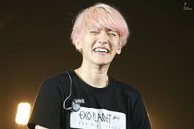 Exo Baekhyun Cute Korea Korean Kpop Pink Smile Exo Baekhyun Baekhyun Exo 12
