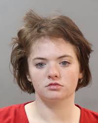 BEAN, BRIANA Charges: HOLD FOR SEVIER CO.