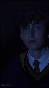 Newt Scamander in Hogwarts Legacy
