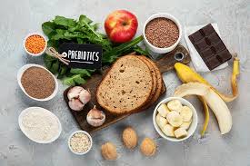Improve Your Gut Terrain with Prebiotics | What is gut terrain?