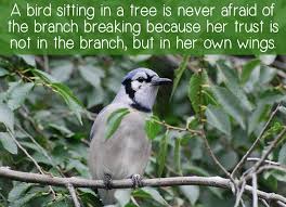 Bird Sitting On Branch Quote Inspirational Quote A Bird Sitting In A Tree Is Never Afraid Of The Branch Breaking Printable M Sitting In A Tree Learning To Trust Motivational Printables