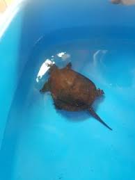 Subventie pt luna octombrie nu se mai primeste,neavand ore lucrate. SubvenÈ›iile De La Ajofm Pentru Angajatorii CovÄƒsneni Intre Promisiunile GuvernanÈ›ilor È™i Lipsa Fondurilor Mesagerul De Covasna