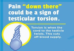 It needs urgent medical attention to restore blood flow and prevent loss of the testicle. Testicular Torsion Awareness Can Make A Major Difference Urology Care Foundation