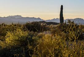 The course plays around a stunning lake with a fountain that can shoot up to 560 feet! Pemberton Loop Trail Hiking Trail Rio Verde Arizona