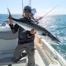 New The 10 Best Food With Pictures Smoker King Fish In 20 Feet Of Water Seaproboats Kingfish Fishing Fi Fishing Charters Offshore Fishing Fish