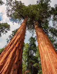 Interstate 10 is your friend on this journey, which will put about 2,650 miles on your odometer and take about 37 hours. Self Drive Vacations In California Usa Travel Guides Audley Travel