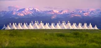 Learn more enjoy thoughtful amenities including an indoor pool, business center and tasty onsite dining from fire + spice, a top restaurant near denver airport. Denver International Receives Architects Design Award Passenger Terminal Today