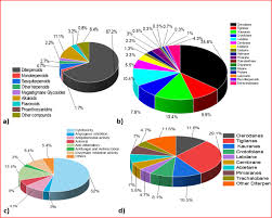 Image result for Croton polytrichus