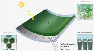 Paneles Solares De Pasto Este Es El Futuro De La Energia Bioguia Energia Solar Paneles Solares Sistema De Energia Solar