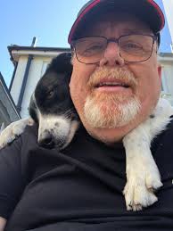 Short Haired Border Collie Fans!!