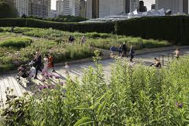 Uncategorized Archives