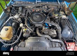 Image result for Haig Green 1929 Dodge