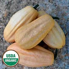 About press copyright contact us creators advertise developers terms privacy policy & safety how youtube works test new features press copyright contact us creators. Fordhook Acorn Organic Squash Seed Savers Exchange