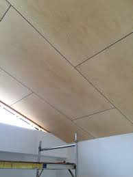 Raked Ply Ceiling Within The Master Bedroom Hill House Site Progress Adarchitecture Surfview Builders Adarchitectur Plywood Walls House Plywood Interior