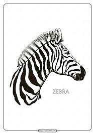 Welcome in zebra coloring pages site. Free Printable Zebra Mandala Coloring Pages