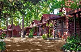 Take a virtual look around these cozy year round deluxe cabins. Eureka Springs Arkansas Cabin Resort For Sale Eliot Dalton
