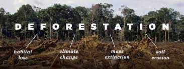 Quotes About Habitat Loss 32 Quotes