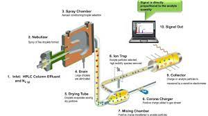 Charged aerosol detection measures signals that are in direct proportion to the amount of analytes present in a sample. Charged Aerosol Detection Applications In Biopharmaceutical Analysis Youtube
