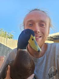 Donald Duck missing from Starpath for over a week