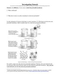 Osmosis jones worksheet answers | homeschooldressage.com. Osmosis Lesson Plans Worksheets Lesson Planet