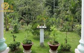 Văn khấn bàn thờ thiên ngoài trời nghi ...