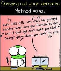Molecular Biology Creepin Out The Lab Mate I Totally Lost It With This One Laughing Laughing Laughing Sounds Like Biology Humor Lab Humor Biology Jokes