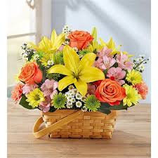 Deliveries are made by local boca raton florists. Haiti Roses Local Lantana Fl Florist Flower Gift Delivery
