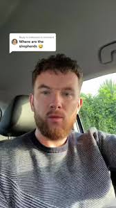 Reply to @helenstok #germanshepherd #kidssaythefunniestthings  @themichaelbarrymore #question