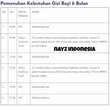 Tentunya jadwal makan untuk bayi 6 bulan akan berbeda bagi tiap individu. 32 Jadwal Pemberian Mpasi Bayi 6 Bulan Pics Pbsafety