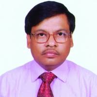 PDF) A New Seeded Diploid Accession of Musa laterita of Section  Rhodochlamys From Gangtok, Sikkim, India with Morphology, Chromosome Number  and Genome Size