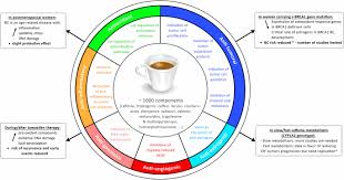 That's probably because she's been exposed to more estrogen. Coffee Consumption And Breast Cancer Risk A Narrative Review In The General Population And In Different Subtypes Of Breast Cancer Springerlink