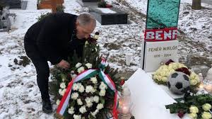 Van wikipedia, de gratis encyclopedie. Mlsz Gyor Moson Sopron Megyei Igazgatosag Feherre Emlekeztek