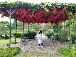 Background pemandangan indah 1 background check all source: 33 Tempat Wisata Alam Di Garut Dengan Pesona Keindahan Yang Sulit Digambarkan