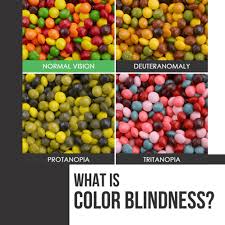 Image result for Color Blindness