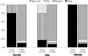 Image result for Grewia rugosifolia