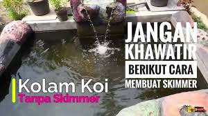 Kolam Koi Tanpa Skimmer Dan Solusinya Youtube