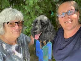 Top of the Hill Doodles