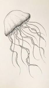 Check spelling or type a new query. Jellyfish Drawing Sea Life Illustration Nursery Wall Etsy Video Video Jellyfish Drawing Drawings Easy Drawings
