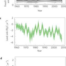 sources and sinks of carbon dioxide