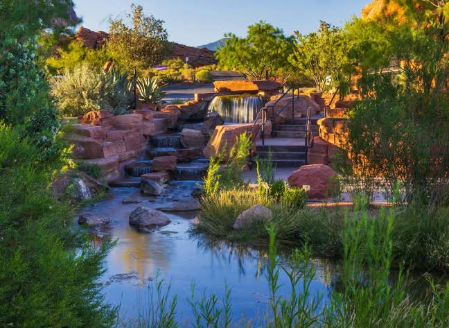 Conservation | Red Hills Desert Garden | WCWCD