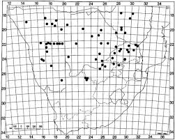 Image result for Otoptera