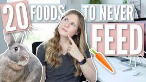 How to kill rabbits in the yard. What Foods Can Kill Rabbits Or Make Them Sick